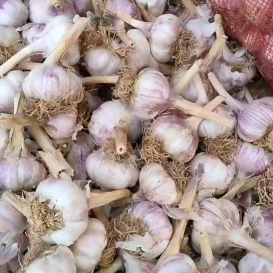 好好爱你