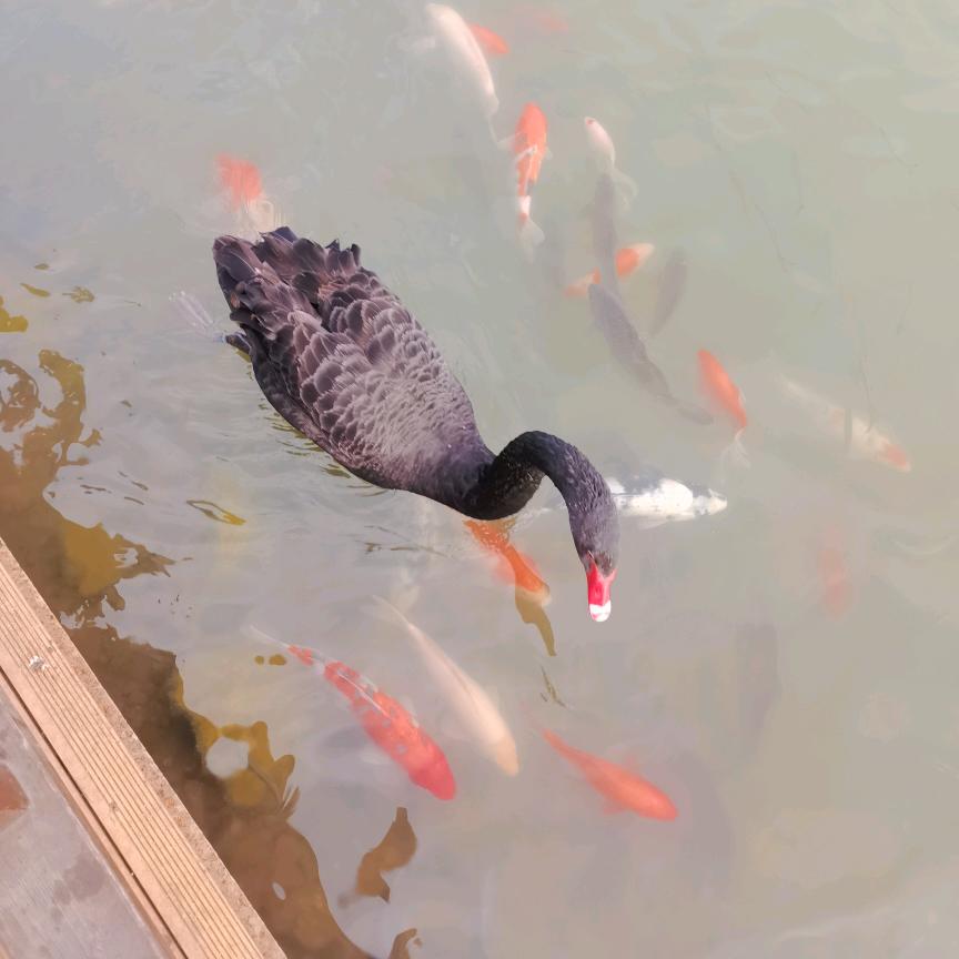 一生辛福，