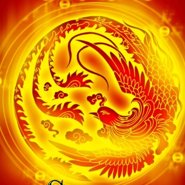 菩提花开