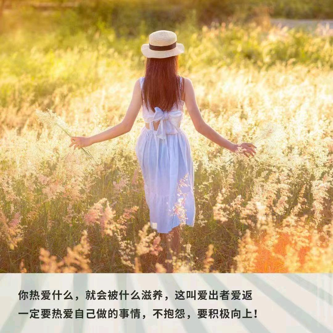 梧桐💞心语