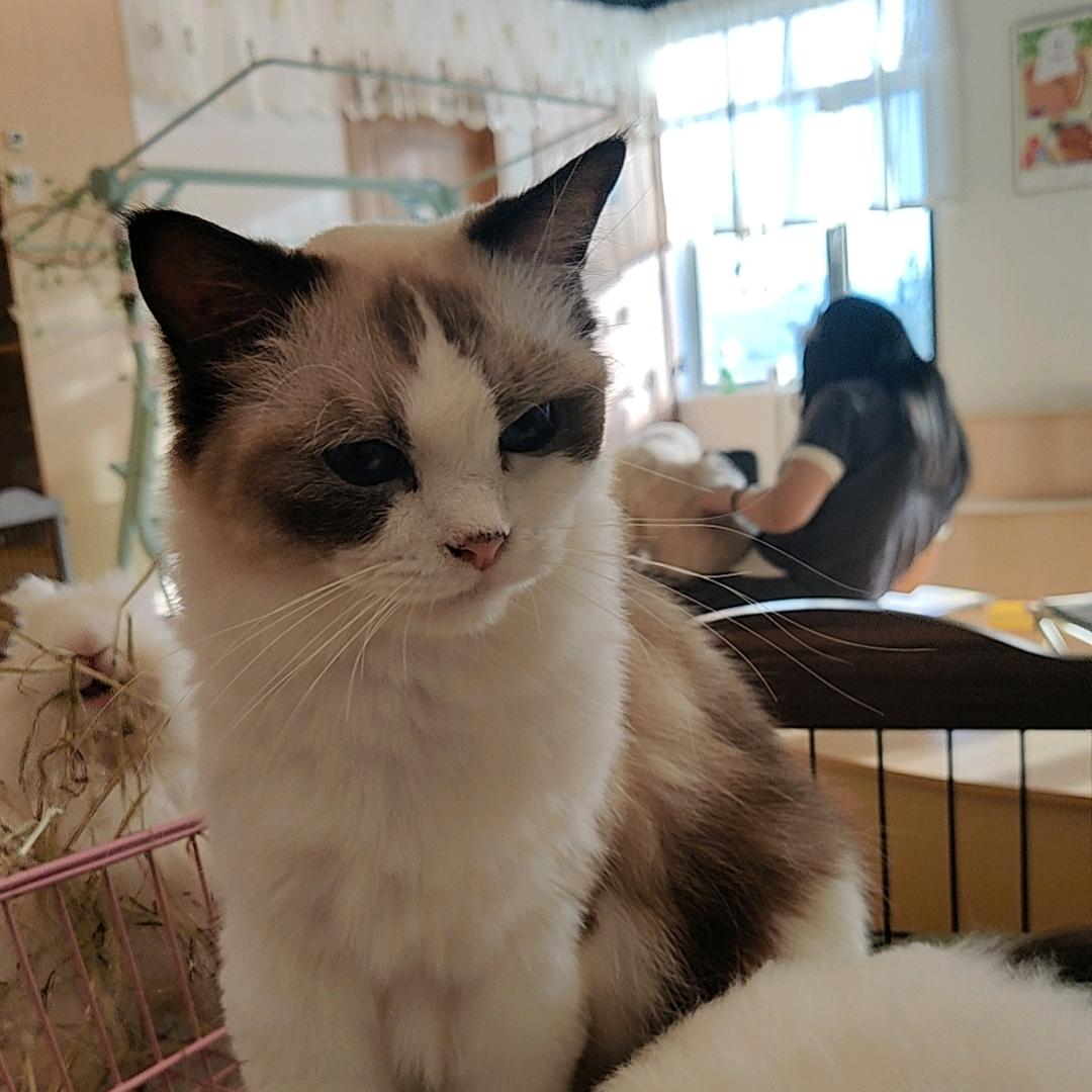 🌈Call me daddy🌈