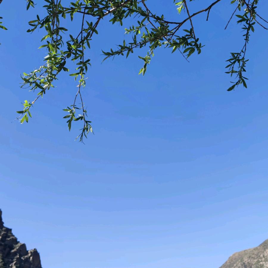 愿一生欢喜