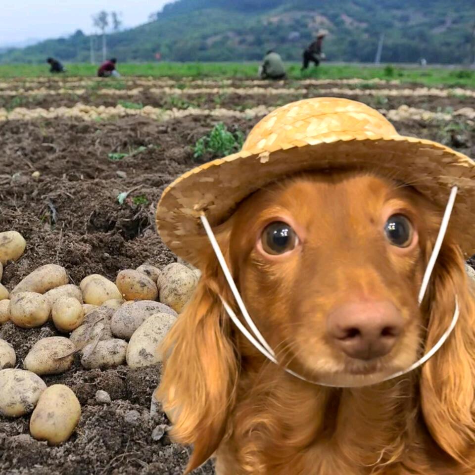 微笑看蓝天