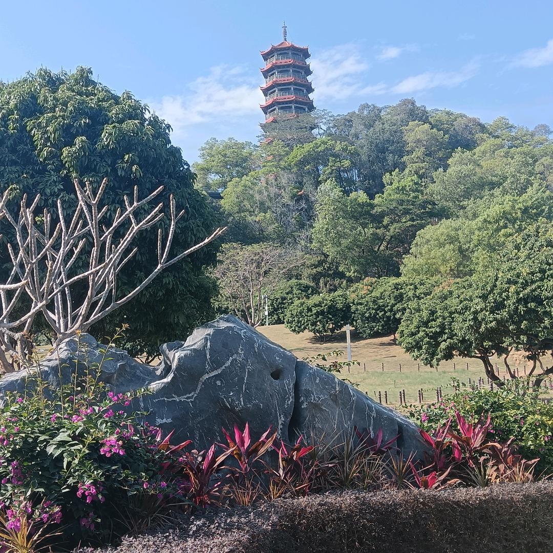 坐着飞机去讨饭
