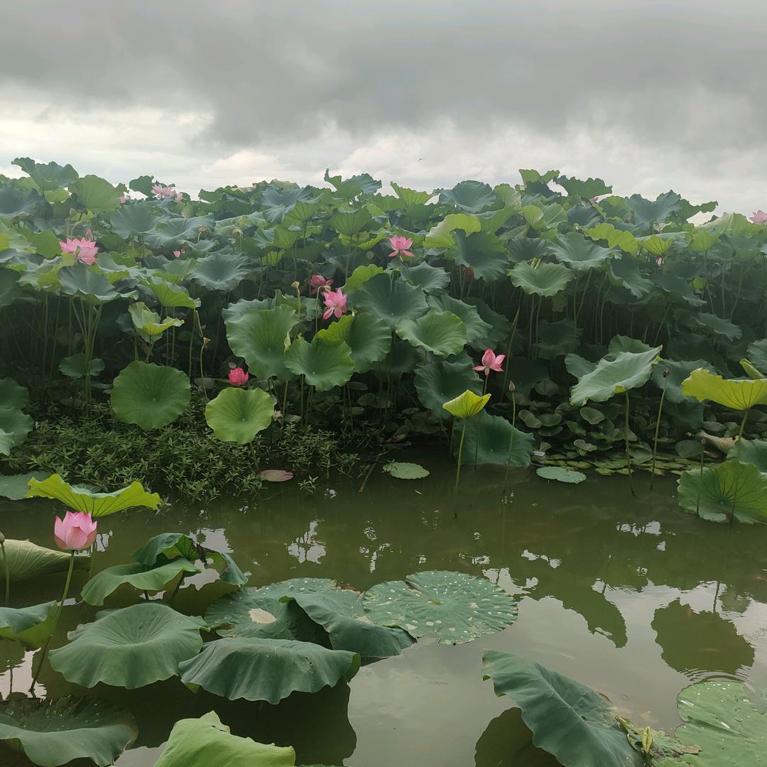 py开心快乐每一天。