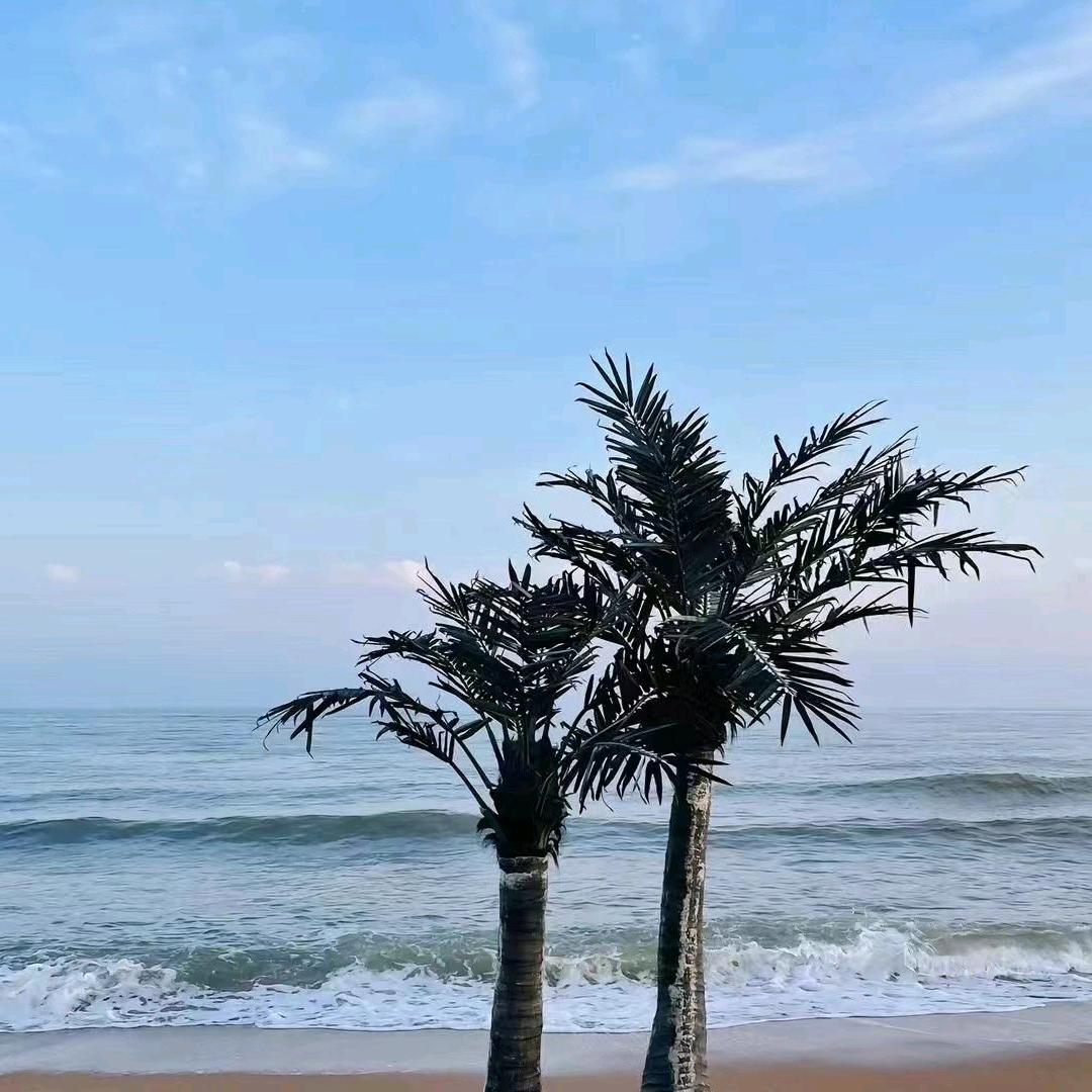北戴河刘庄夜市瑞吉旅馆沐沐ya