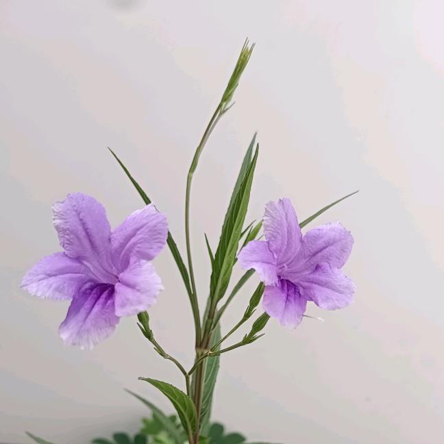 💞清醒💞
