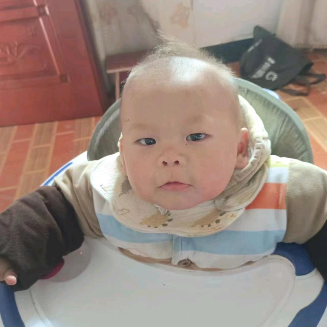 有情有义
