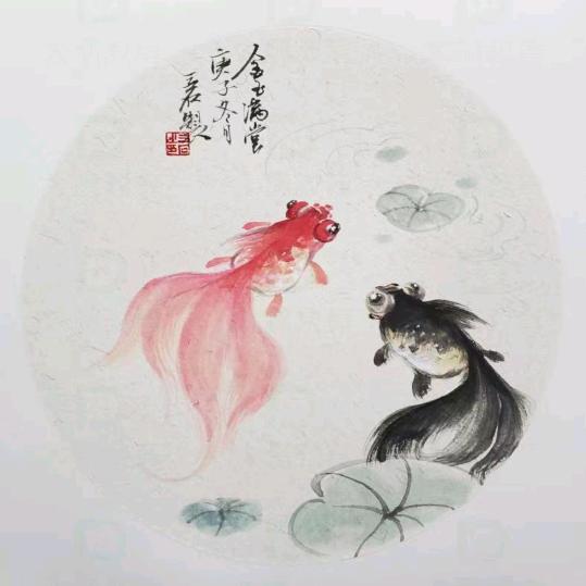 绿罗 好物分享