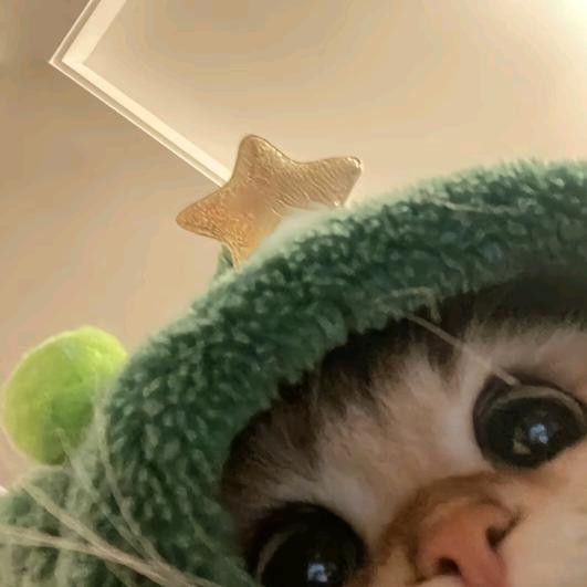 大狸水手