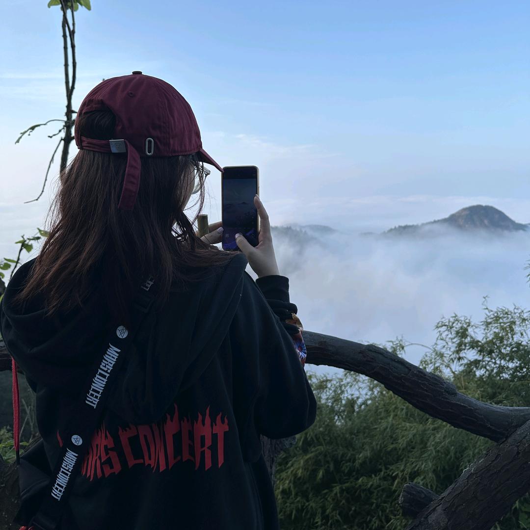 糖醋李脊_yu