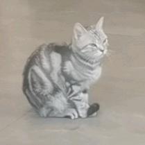 有缘人不忘初心