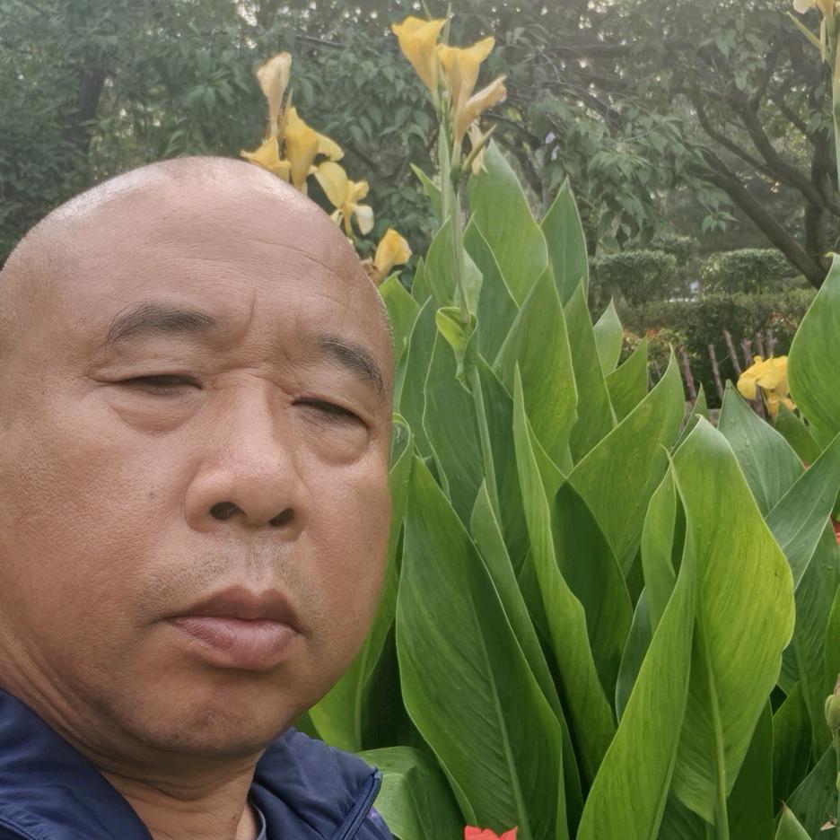 老刘爱农资(商品在橱窗)