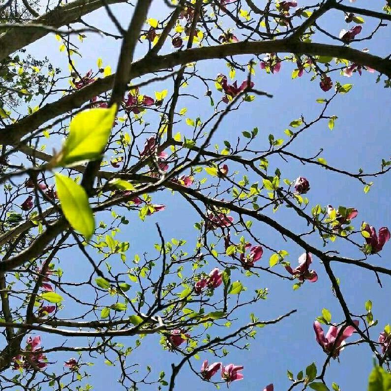 - ꧁志在⃝₊必强꧂