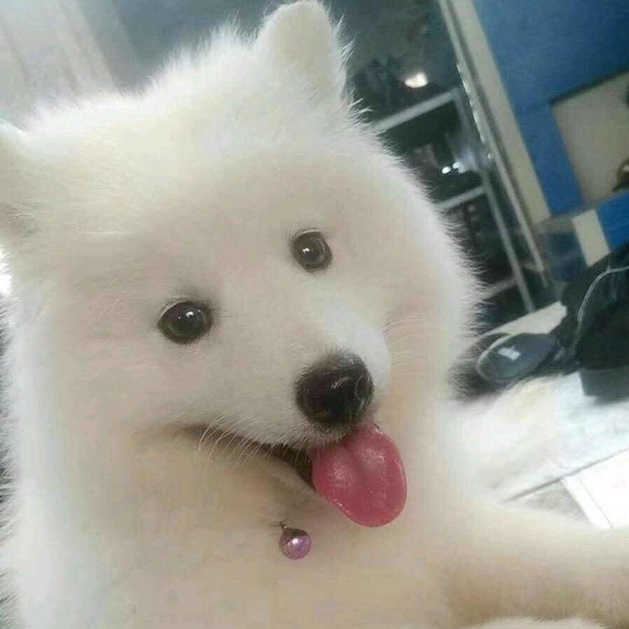 潇湘馆