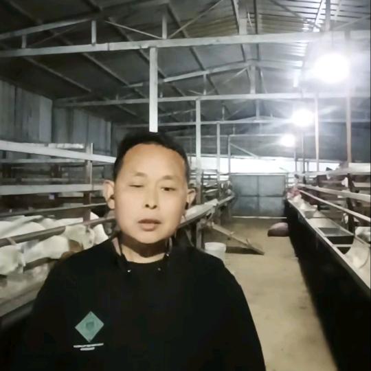 军宏家庭农场(武军)