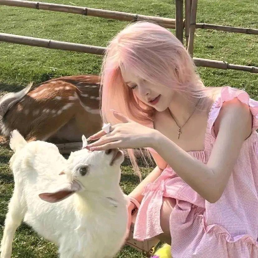 丨