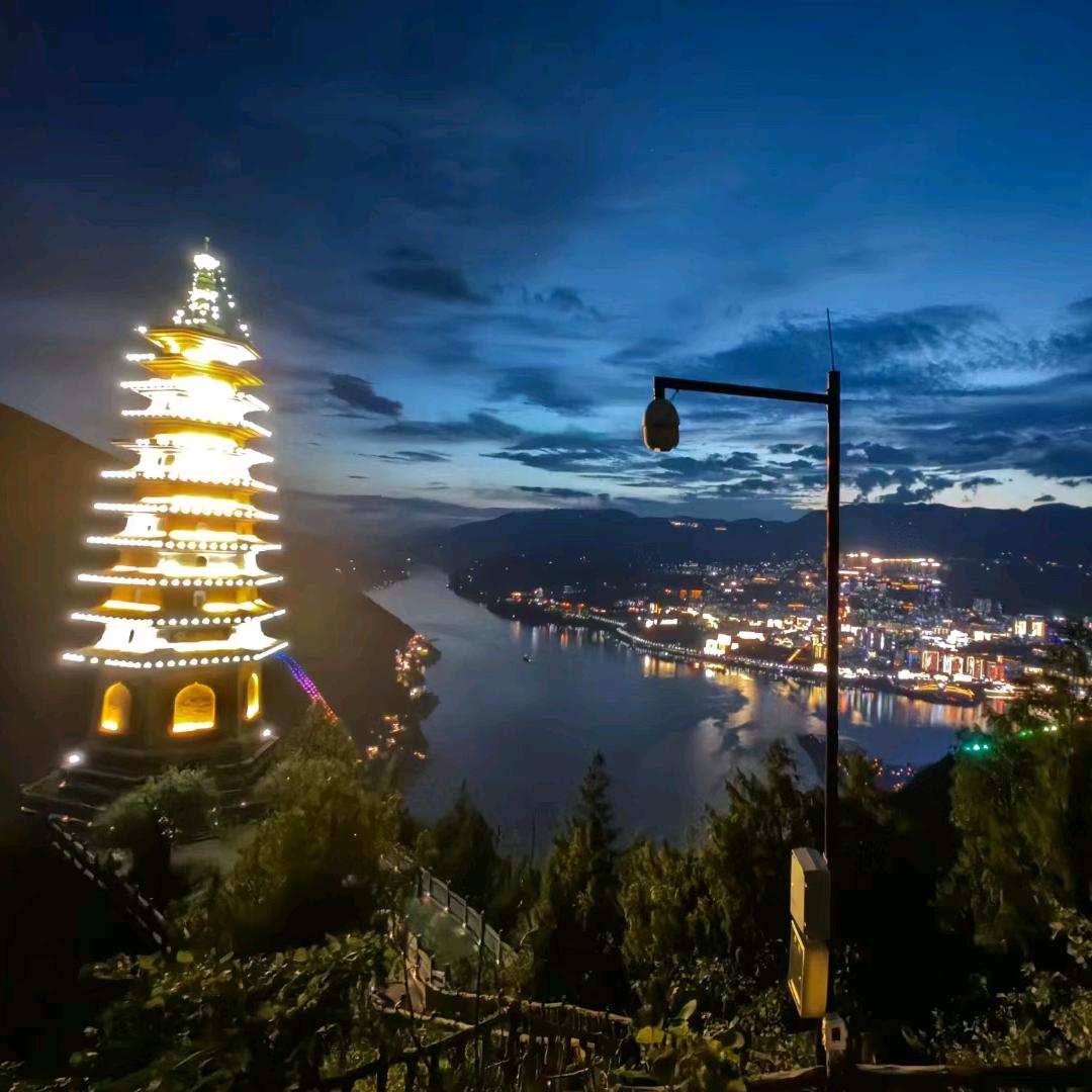 岳伟.
