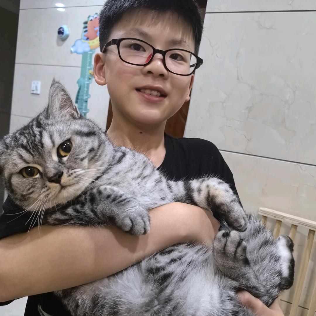 养猫的小少年