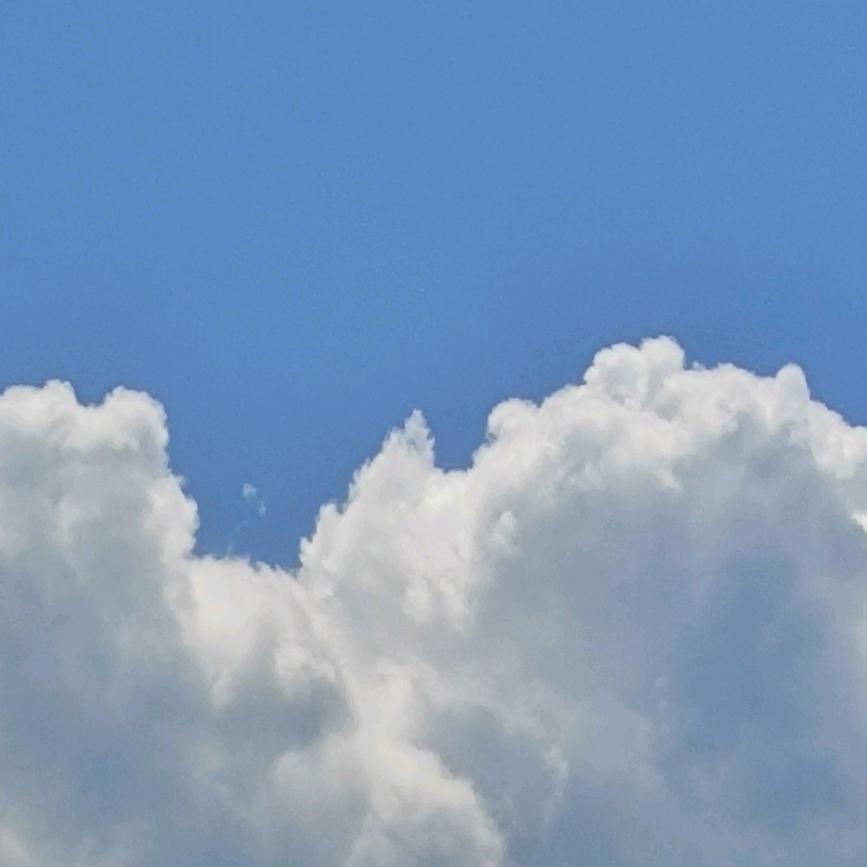 葱姜蒜这么难画我大四你（杂食石头妹嗯对）