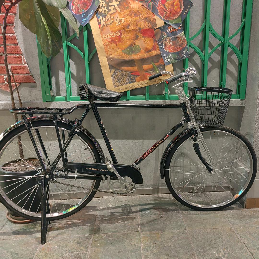 草原上的一匹马