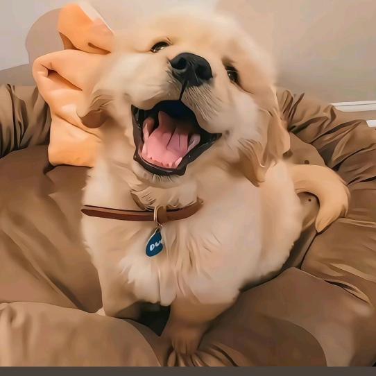 如果风为你停下来