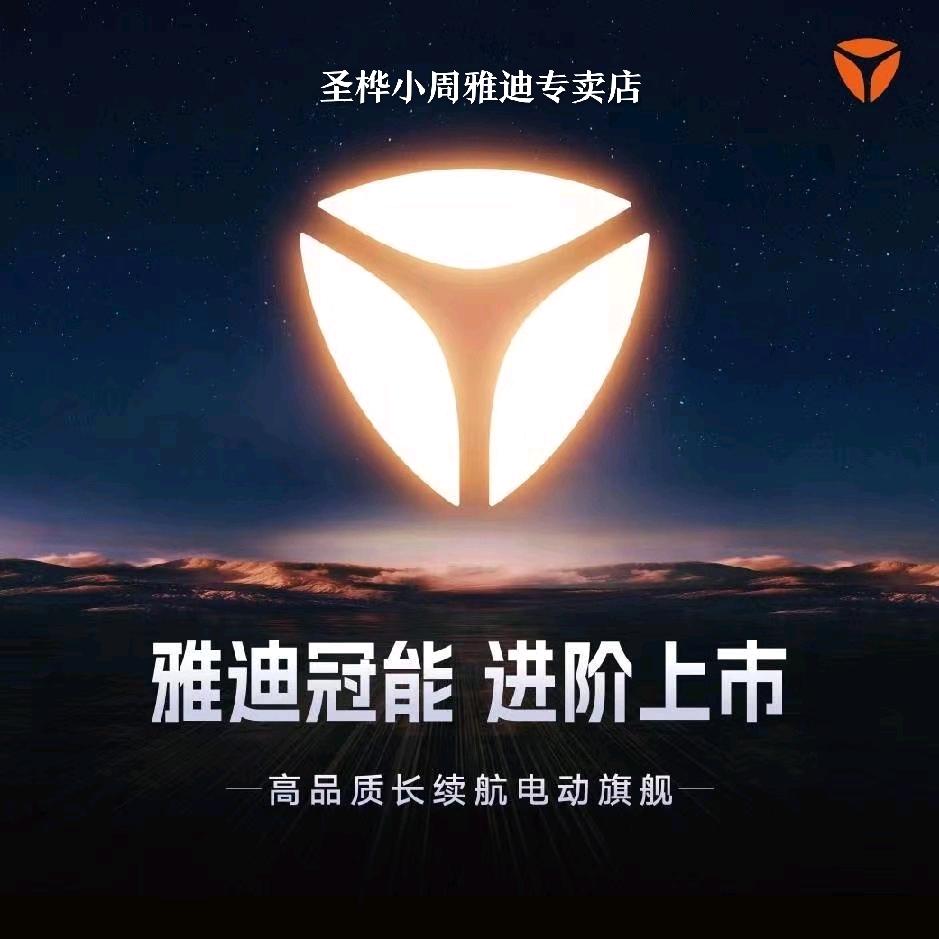 资阳圣桦名城小周车行雅迪电动车