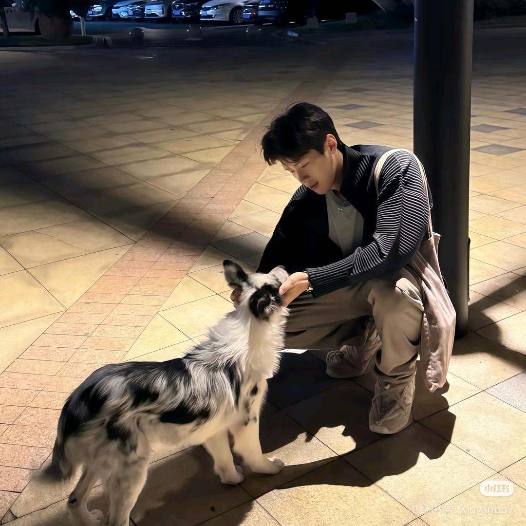 熬夜的鱼头