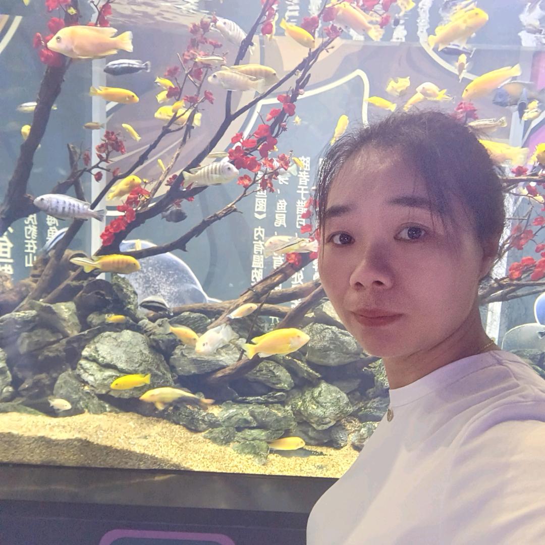郑宇涵cltp