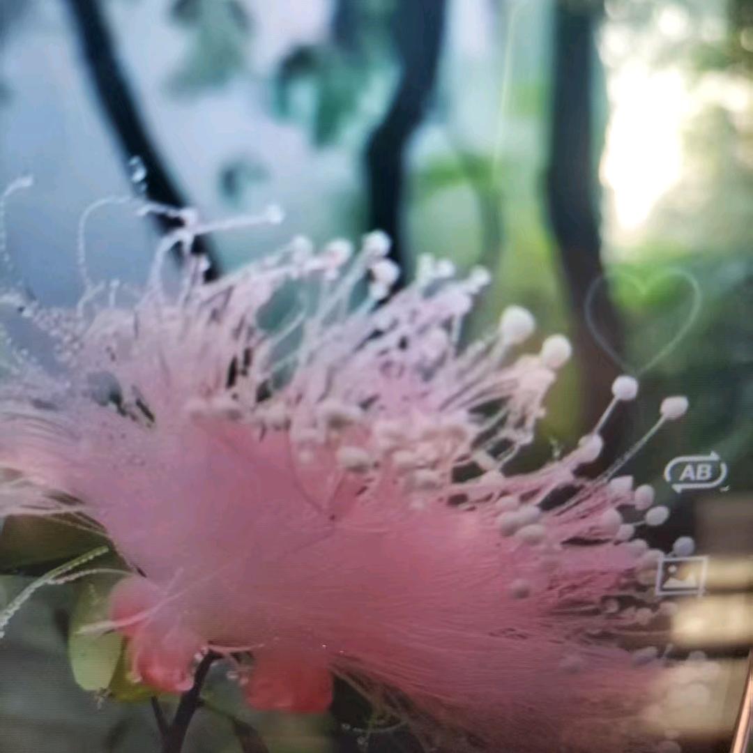 蓝天
