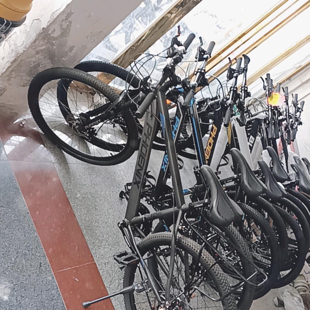 凤阳全新半价自行车