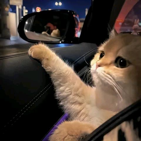 ԅ¯人间﹃李想¯ԅ