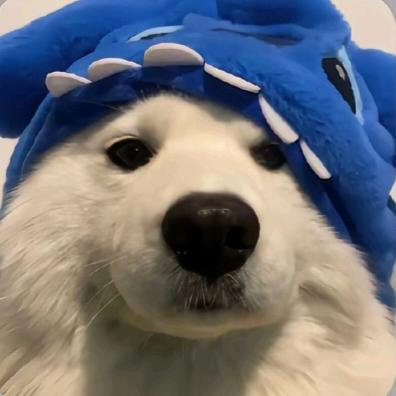 王者荣耀上分仔