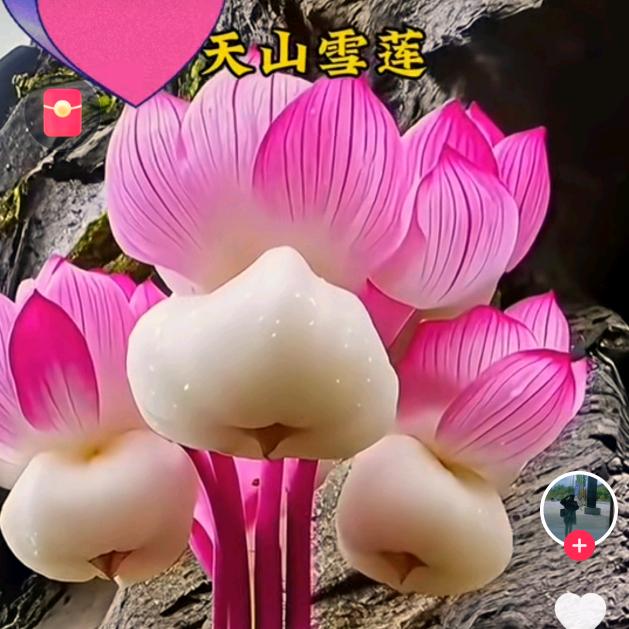alu生活区