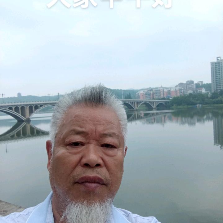活动自由270
