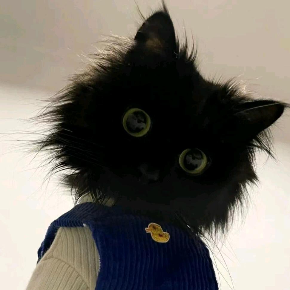 礼亿欧