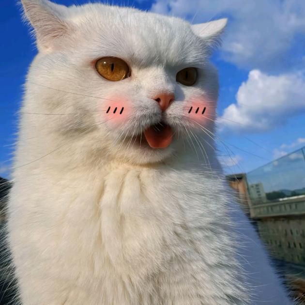 阿是穴