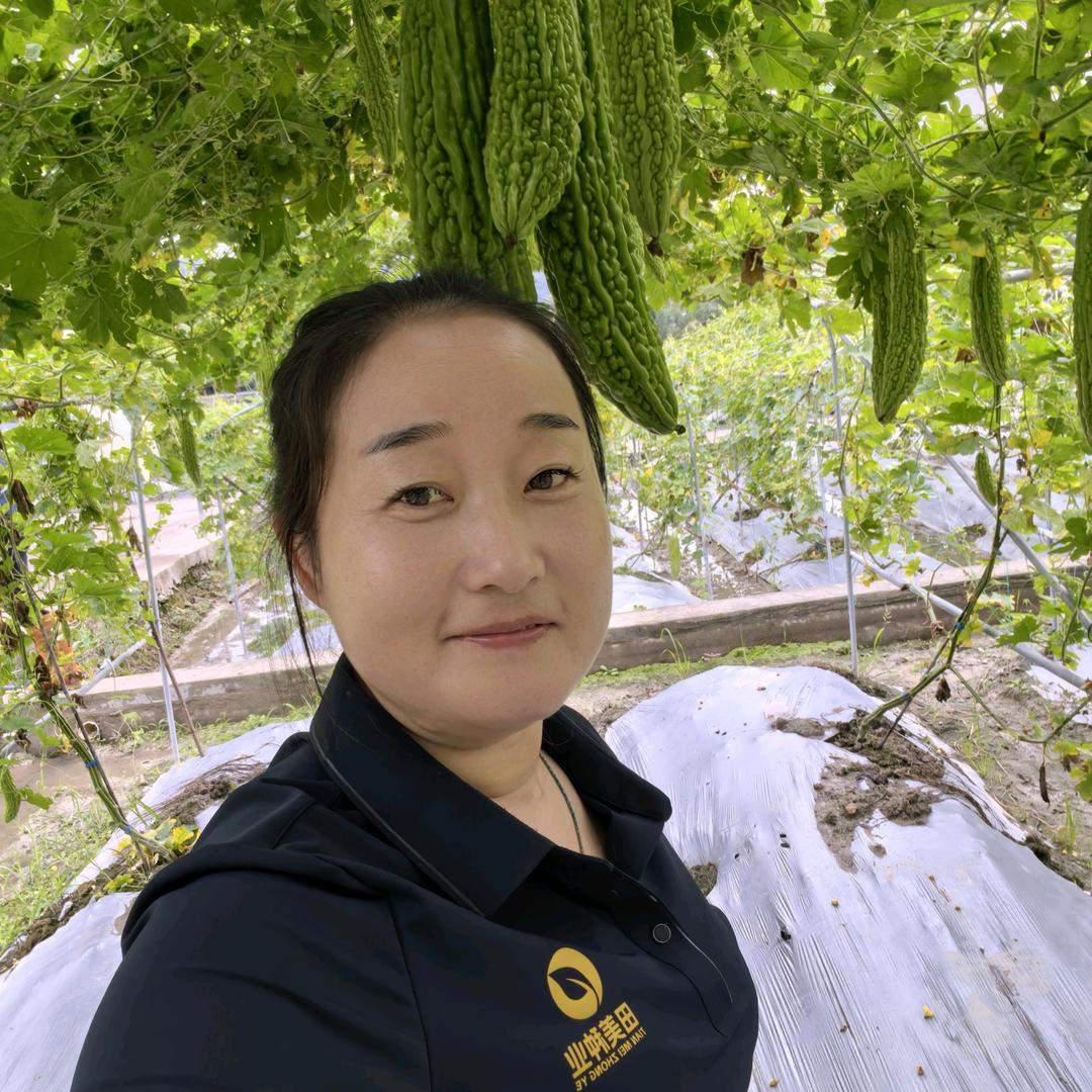 寿光田美种业春哥