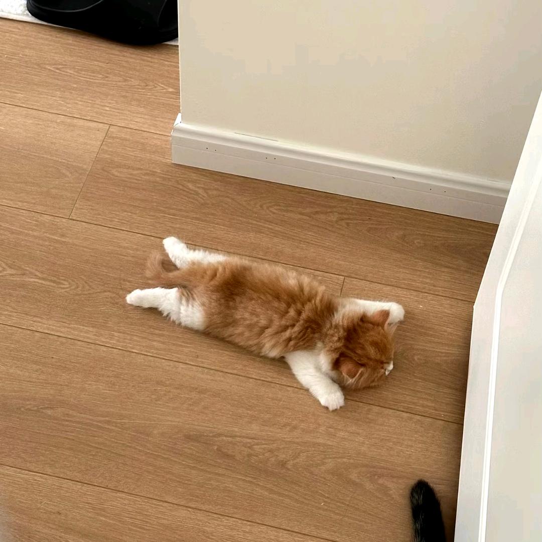 溜溜(零养看置顶作品)