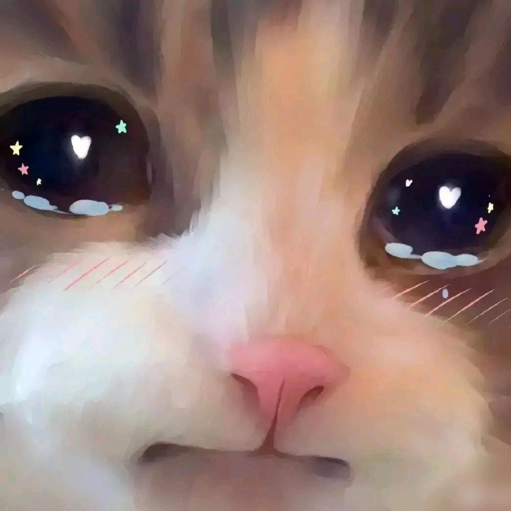 二呆龙虾