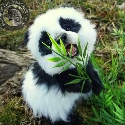 🐼旺仔小拳拳🐾
