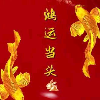 李小雨