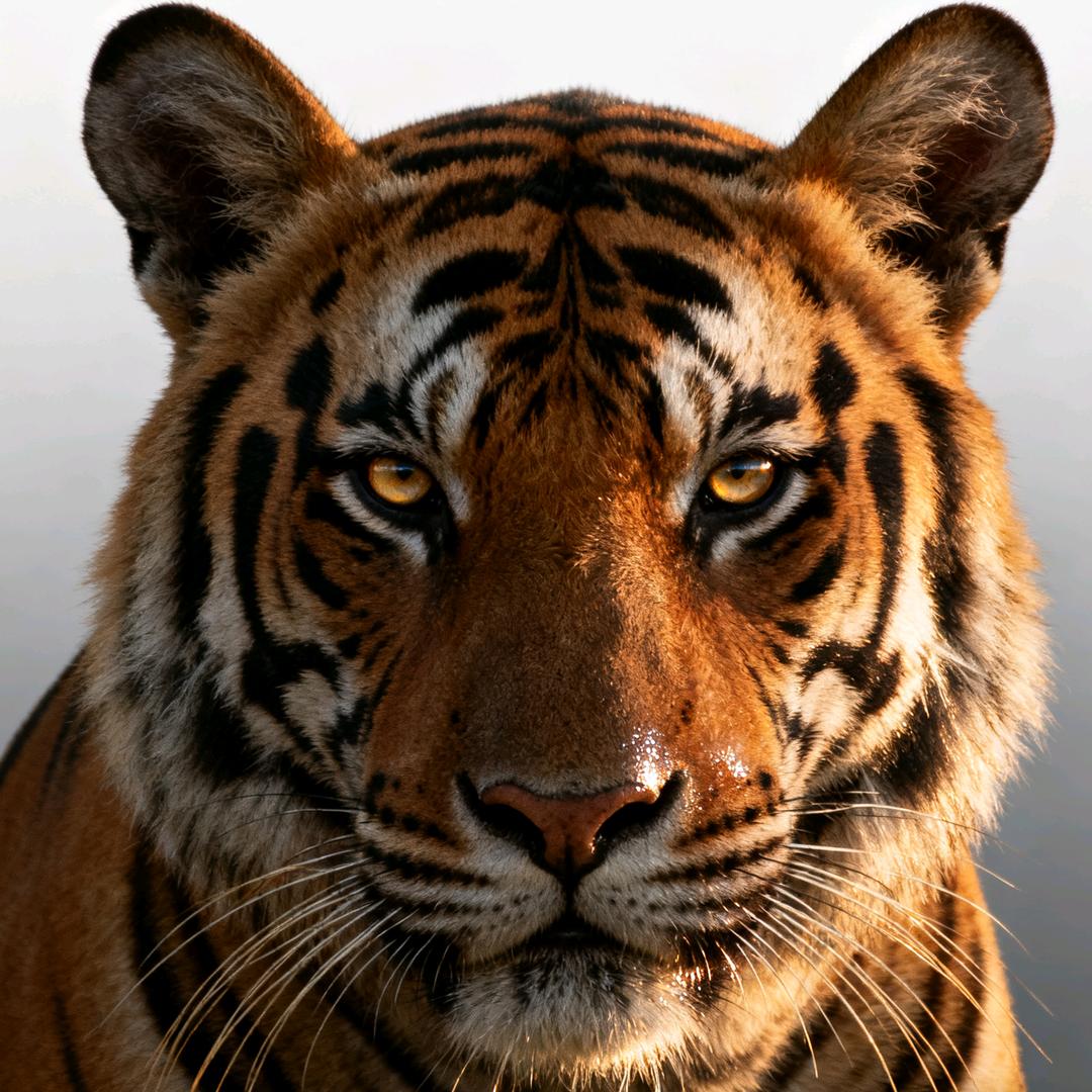 你别说你还真别说