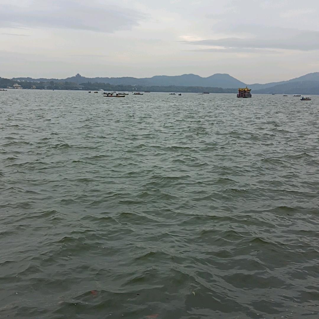 小瞪瞪