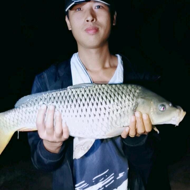 明哥钓鱼直播