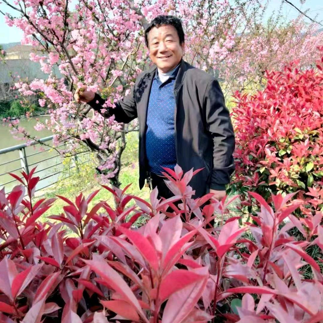 杨从不张扬