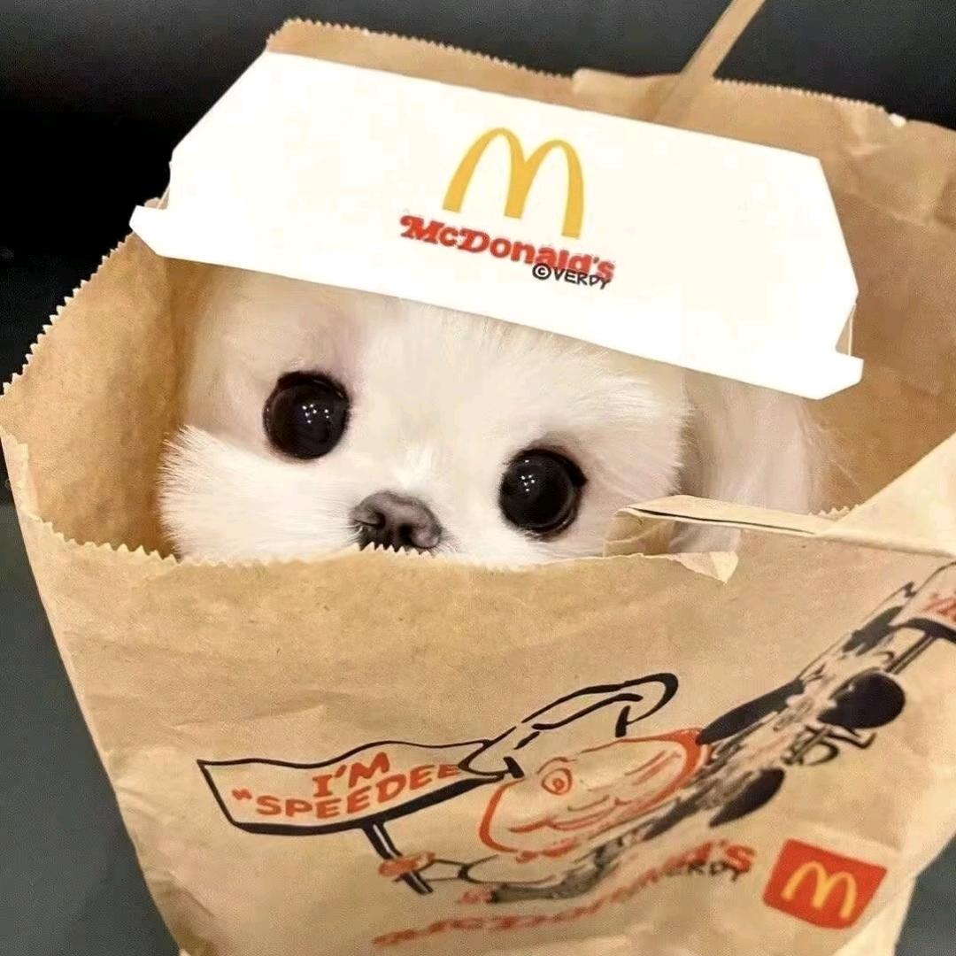 小熊于冬而眠