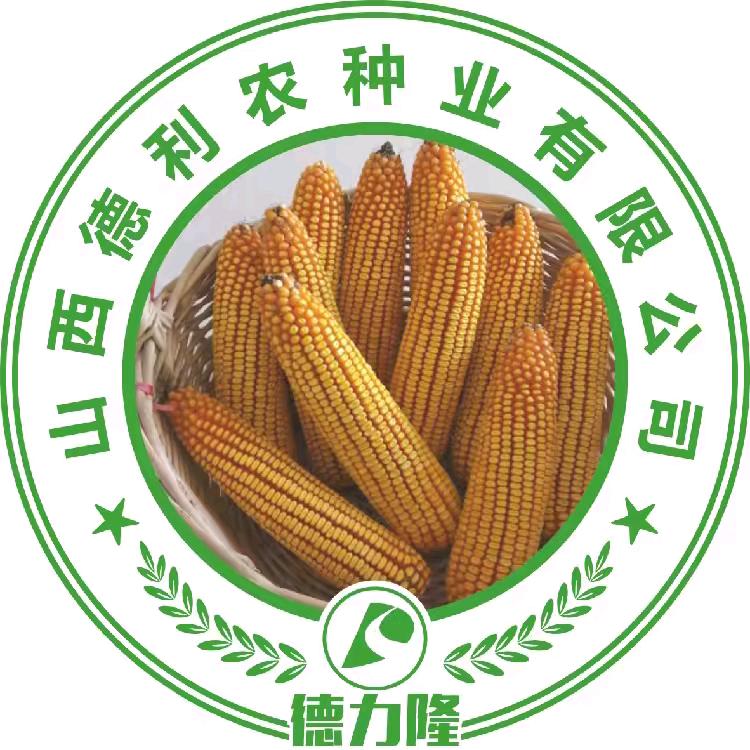 山西德利农种业