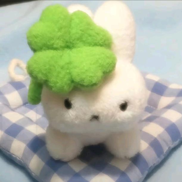 锦鲤小狗.