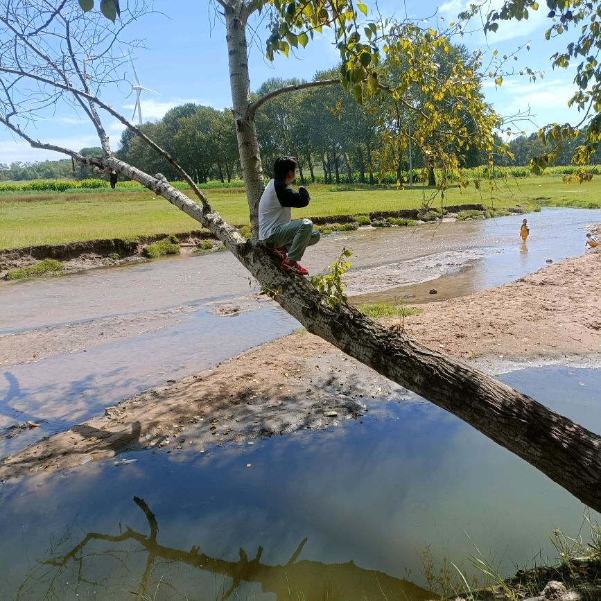 每天都是好心情